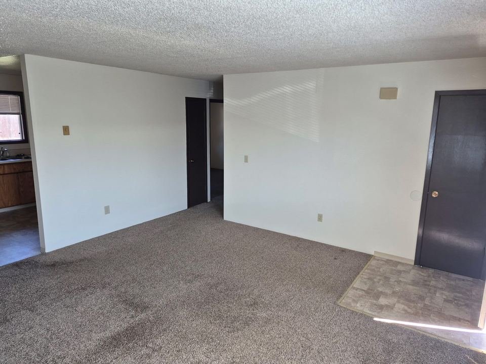Carpeted living room