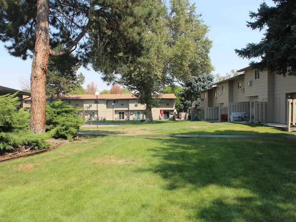Shaded lawn between the apartment buildings